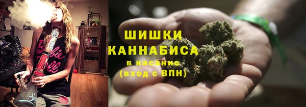 МДПВ Елабуга