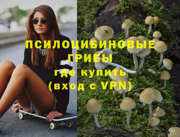 МДПВ Елабуга