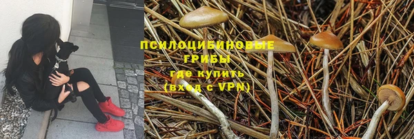 МДПВ Елабуга