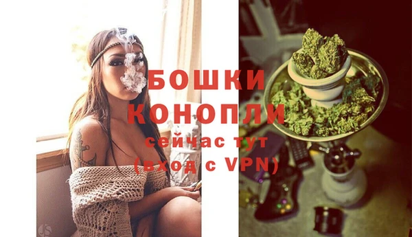 МДПВ Елабуга