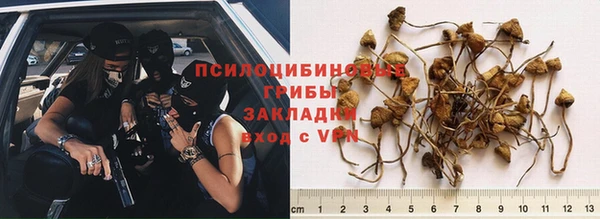 МДПВ Елабуга