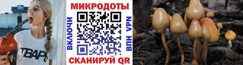 omg ссылка  Зеленоградск  Псилоцибиновые грибы GOLDEN TEACHER 